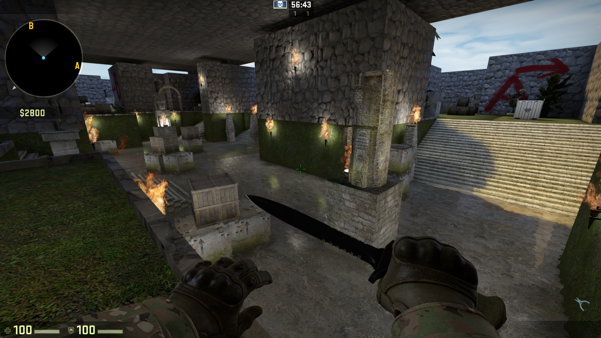 Counter Strike: Global Offensive